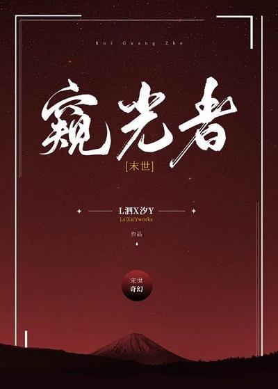 窥光者[末世]封面