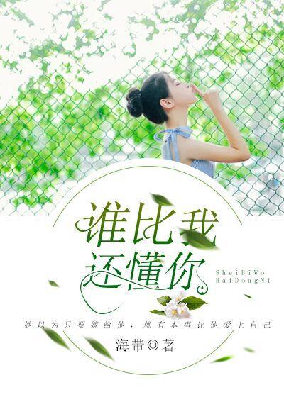 谁比我还懂你封面
