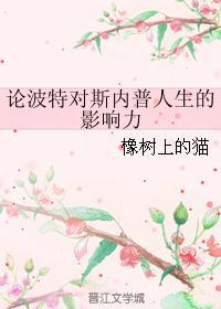 论波特对斯内普人生的影响力封面
