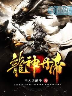 龙神丹帝封面