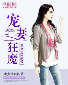 宠妻狂魔：首席之间的爱封面