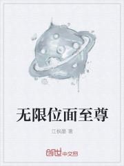 无限位面至尊封面
