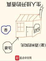 真香的开挂人生封面