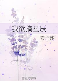 我欲摘星辰封面