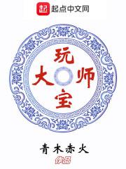 玩宝大师封面