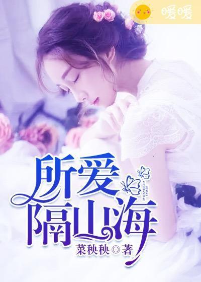 所爱隔山海封面