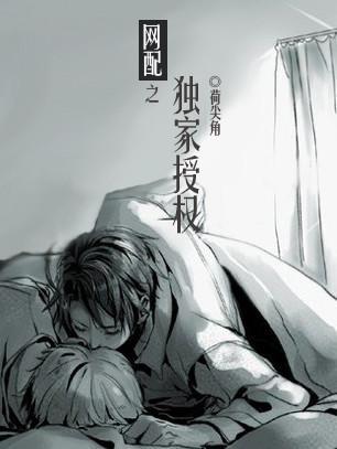 网配之独家授权封面
