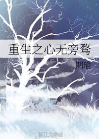 重生之心无旁骛封面