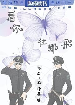 看你往哪飞封面