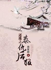 还珠之泰仇后报封面