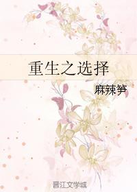 重生之选择封面