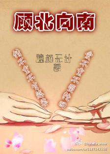 顾北向南封面