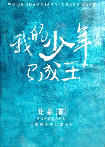 我的少年已成王封面