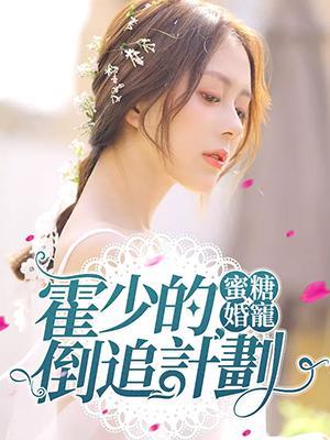 蜜糖婚宠：霍少的倒追计划封面