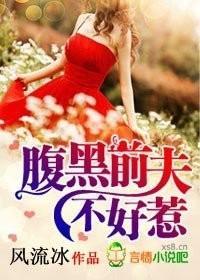 腹黑前夫，不好惹封面
