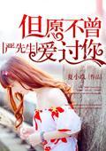 严先生，但愿不曾爱过你封面