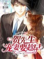 贺先生，宠妻要趁早封面