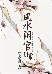 风水闲官日常封面