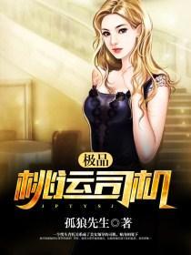 极品桃运司机苏梦雅林强封面