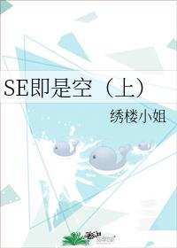 SE即是空（上）封面