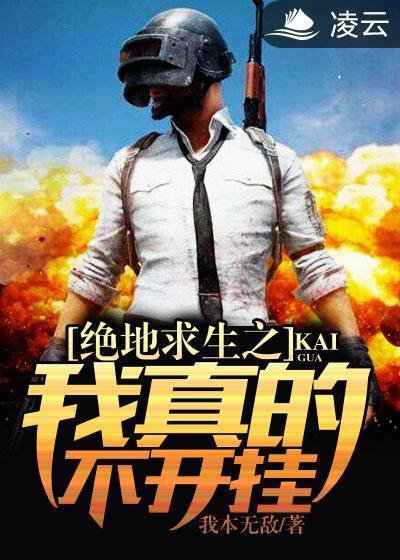 绝地求生之我真的不开挂封面