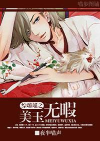综琼瑶之美玉无瑕封面