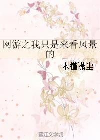 网游之我只是来看风景的封面