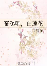 奋起吧，白莲花封面