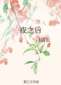 夜之后封面