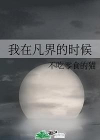 我在凡界的时候封面