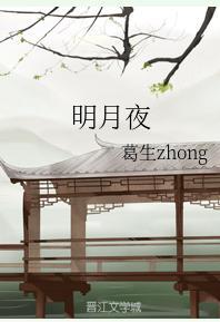 明月夜封面