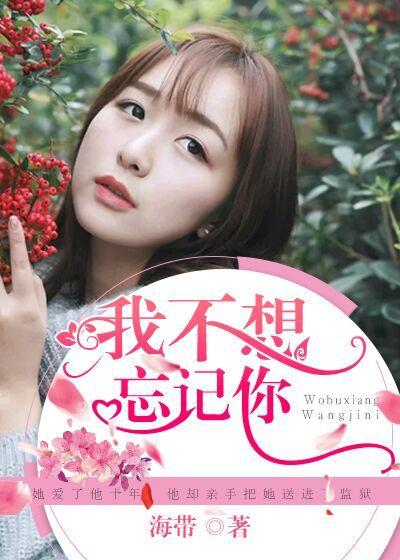我不想忘记你封面