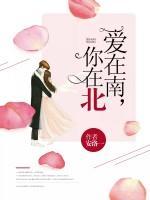 爱在南，你在北封面