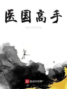 医国高手封面