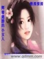 辉着翅膀的小女人封面