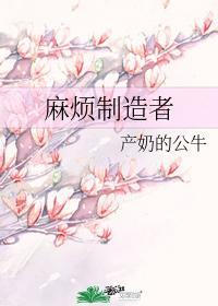 麻烦制造者封面