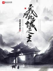 我乃此城之主封面