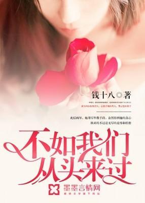 不如我们从头来过封面