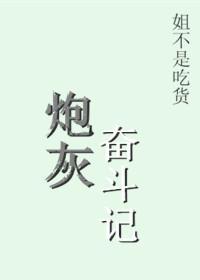 炮灰奋斗记封面
