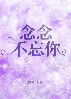 念念不忘你封面