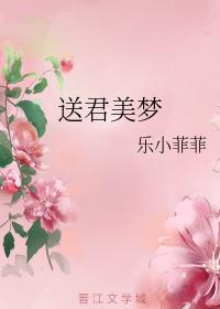 送君美梦封面