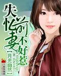 失忆前妻不好惹封面