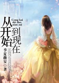 从开始到现在封面