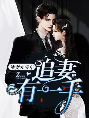 辣妻九零年：追妻有一手封面