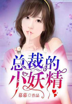 总裁的小妖精封面