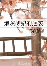 炮灰侧妃的逆袭封面