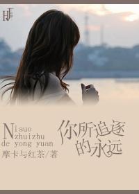 你所追逐的永远封面