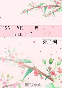 TSN—ME— What if封面