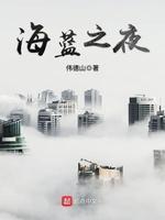 海蓝之夜封面