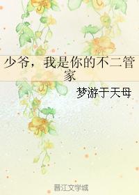 少爷，我是你的不二管家封面